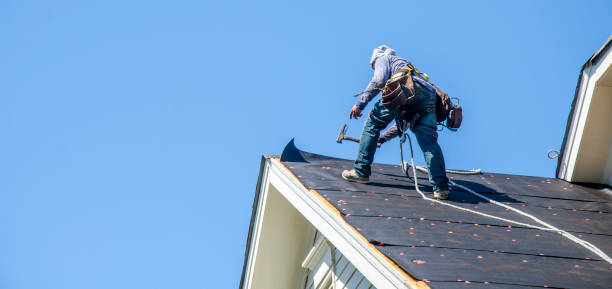 Best Roof Repair Services  in Detroit, MI